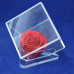 Cutie trandafir CUBE 10 x 10 cm